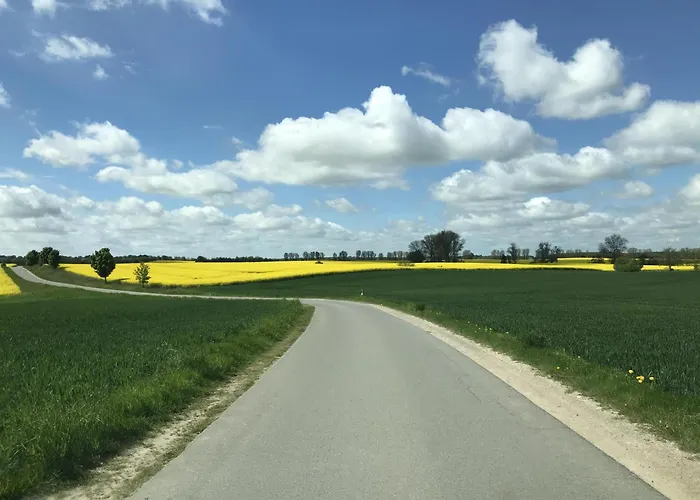 Ferienhaus Neu Wildberghus *